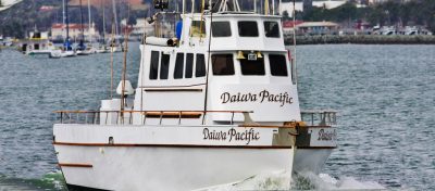 Daiwa Pacific Sport Fishing