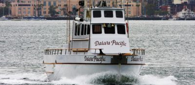 Daiwa Pacific Sport Fishing