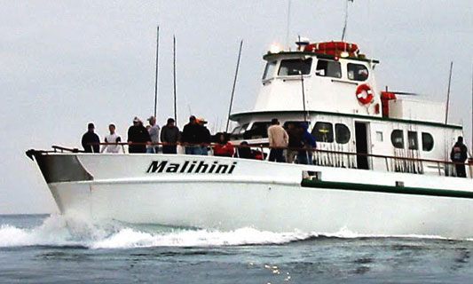 Malihini - Sport Fishing - H&M Landing - San Diego, California