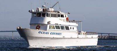 Ocean Odyssey Sport Fishing