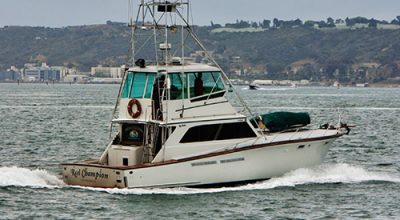Reel Champion Sport Fishing