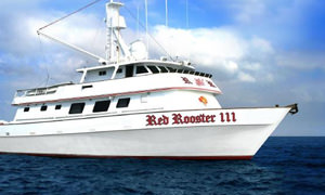 Red Rooster III Sport Fishing