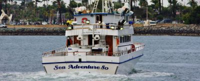 Sea Adventure 80 Sport Fishing