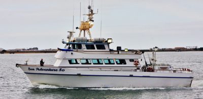 Sea Adventure 80 Corporate Fishing Charters