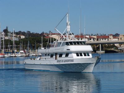 Spirit of Adventure Sport Fishing