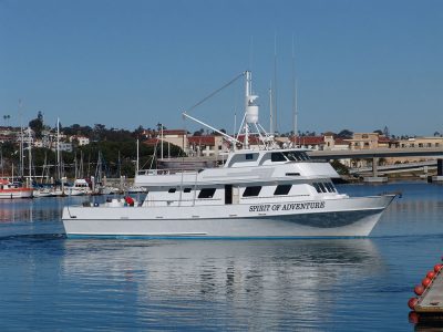 Spirit of Adventure Sport Fishing