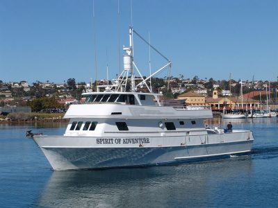 Spirit of Adventure Sport Fishing
