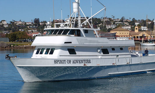 Spirit of Adventure Fishing Tours