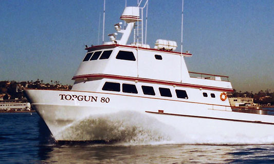 Top Gun 80 Fishing Tours