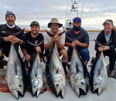 bluefin-for-days