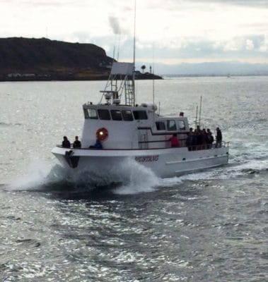 Mustang Charter Boat