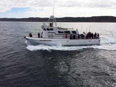 Mustang Charter Boat
