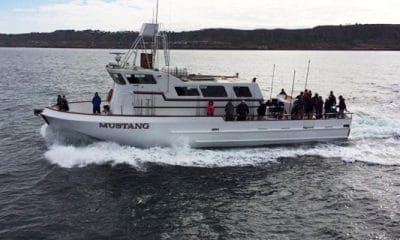 Mustang Boat
