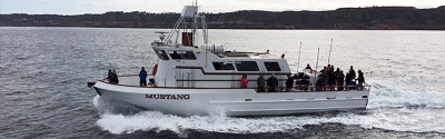Mustang Charter Boat