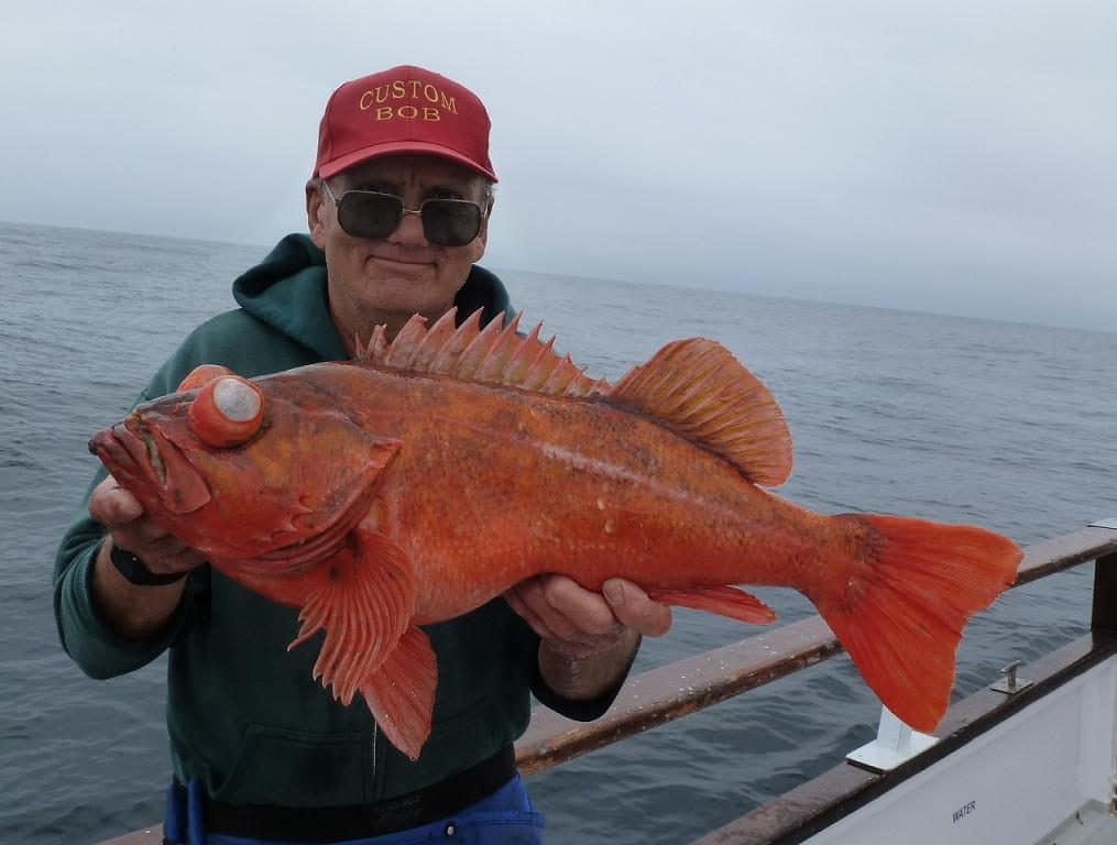 Ocean Fishing Ventura Ling Cod Fishing Pacific Islander Sportfishing