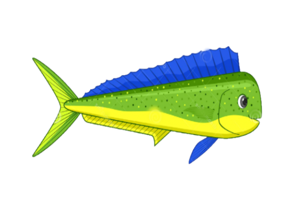 Sportfishing Trip Calendar H M Landing Since 1935 Sportfishing Trip Calendar H M Landing Since 1935