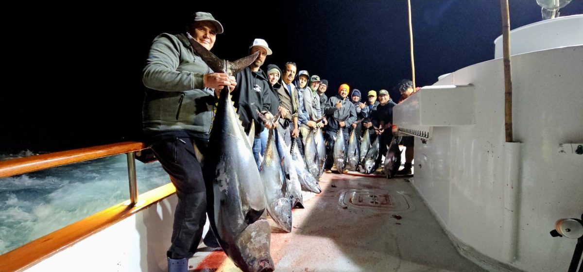 Sportfishing Trip Calendar H M Landing Since 1935 Sportfishing Trip Calendar H M Landing Since 1935