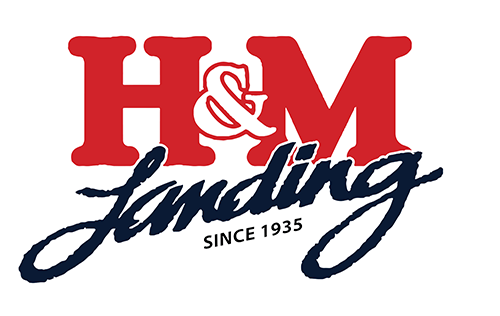 H&M Landing Logo