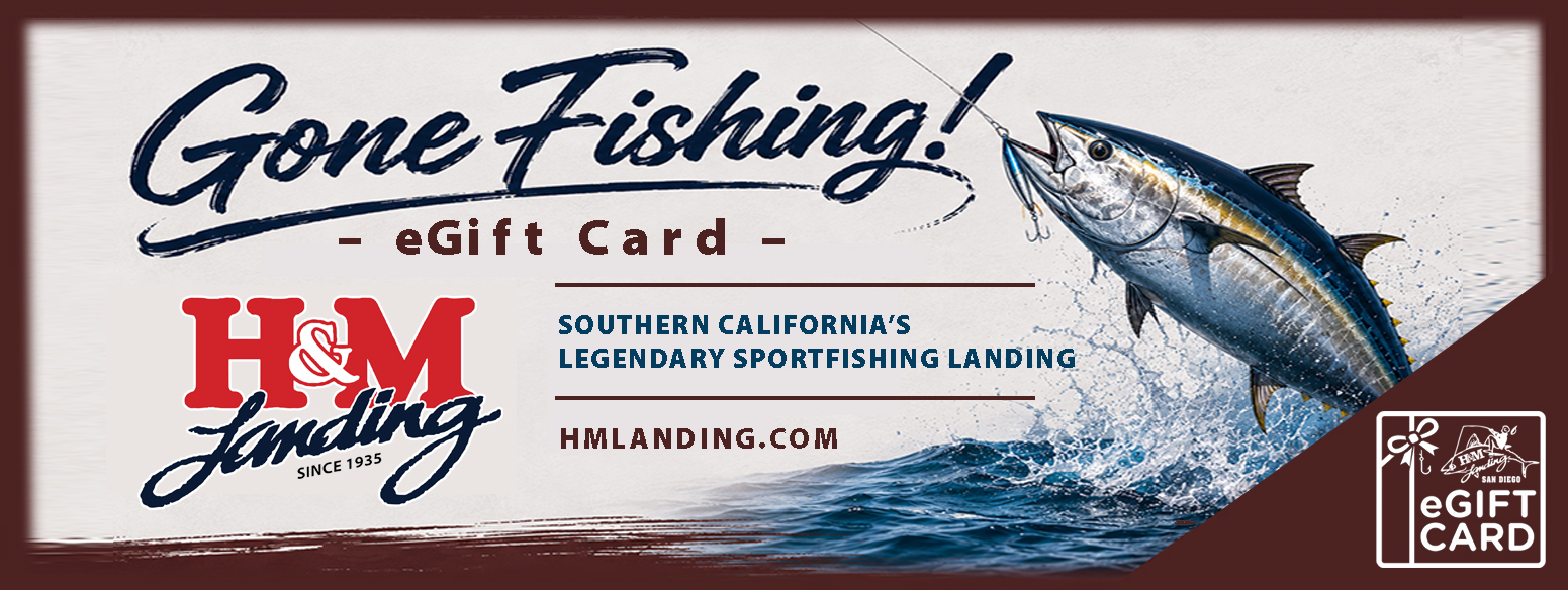 H&M Landing eGift Card