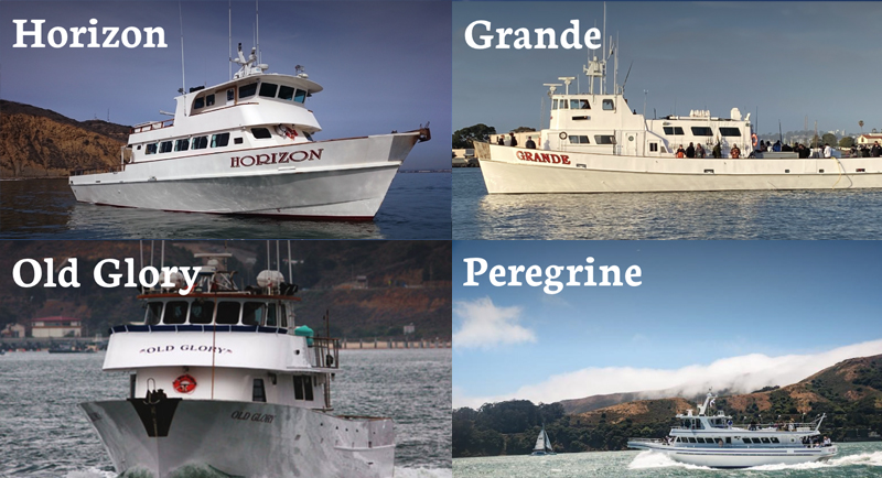 H&M Landing Fleet Boat