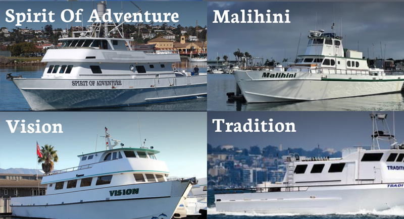 H&M Landing Fleet Boat