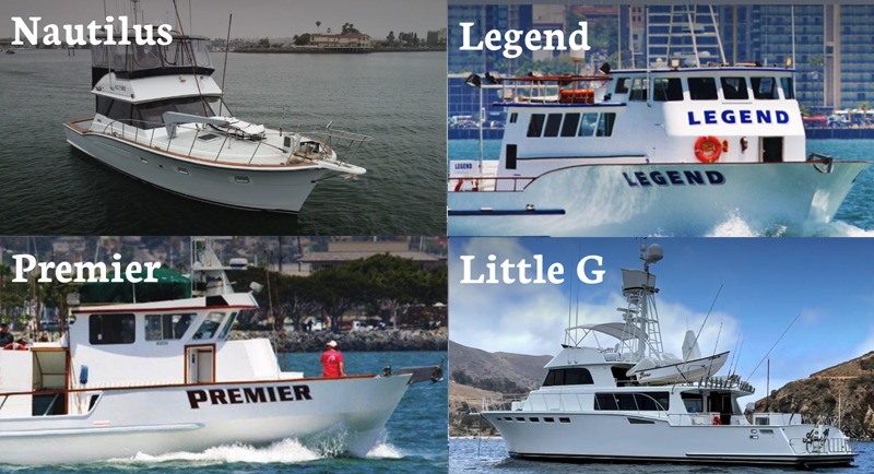 H&M Landing Fleet Boat