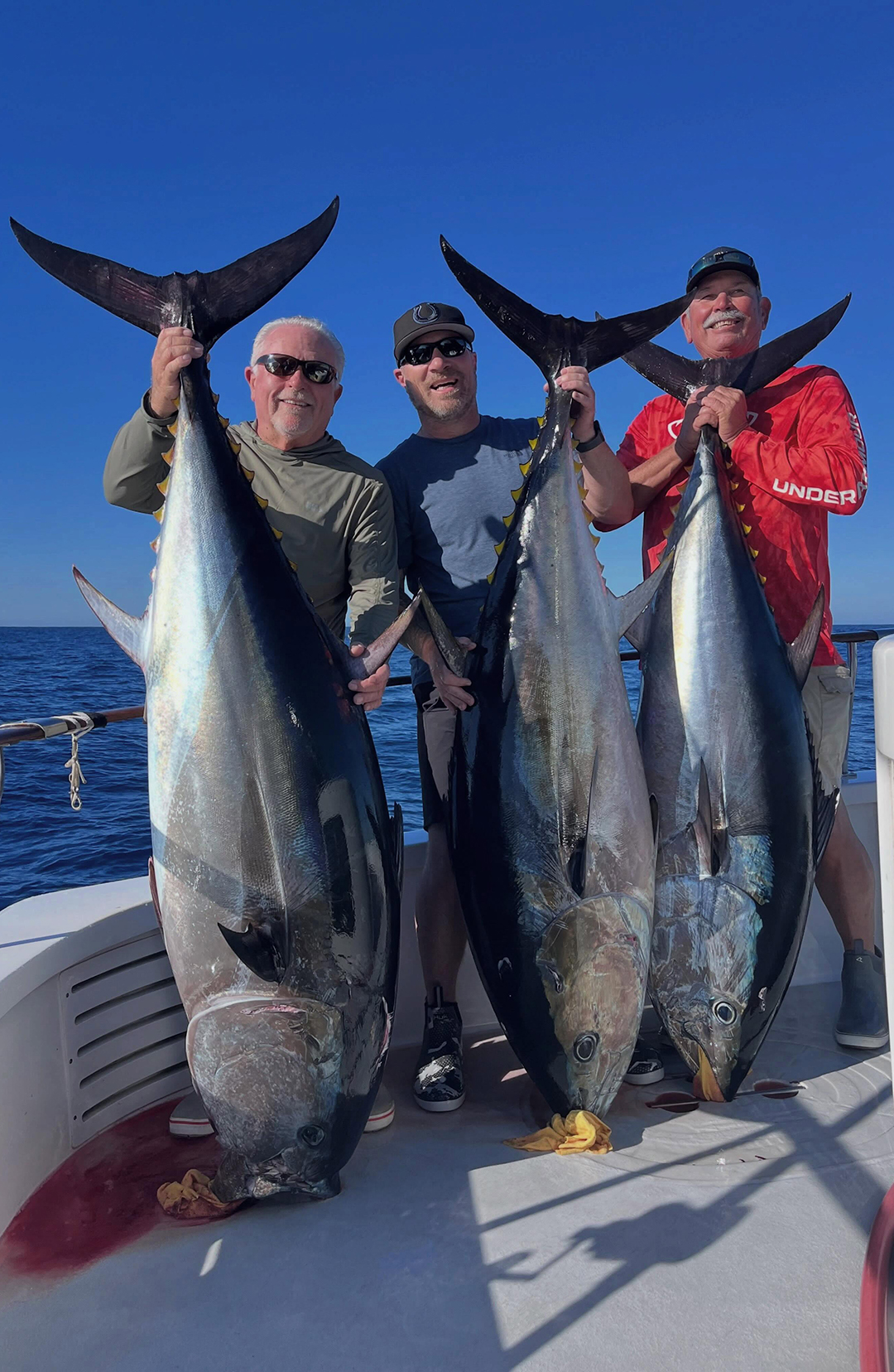 Yellowfin and Bluefin Catch