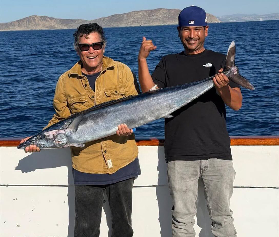 Yellowfin and Bluefin Catch